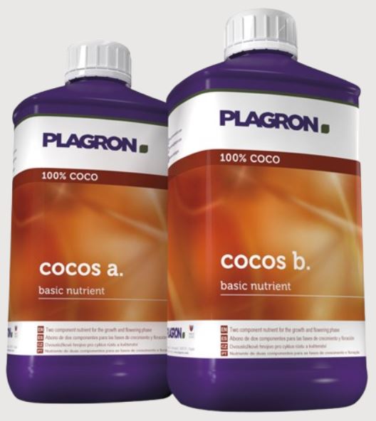 coco1Lok