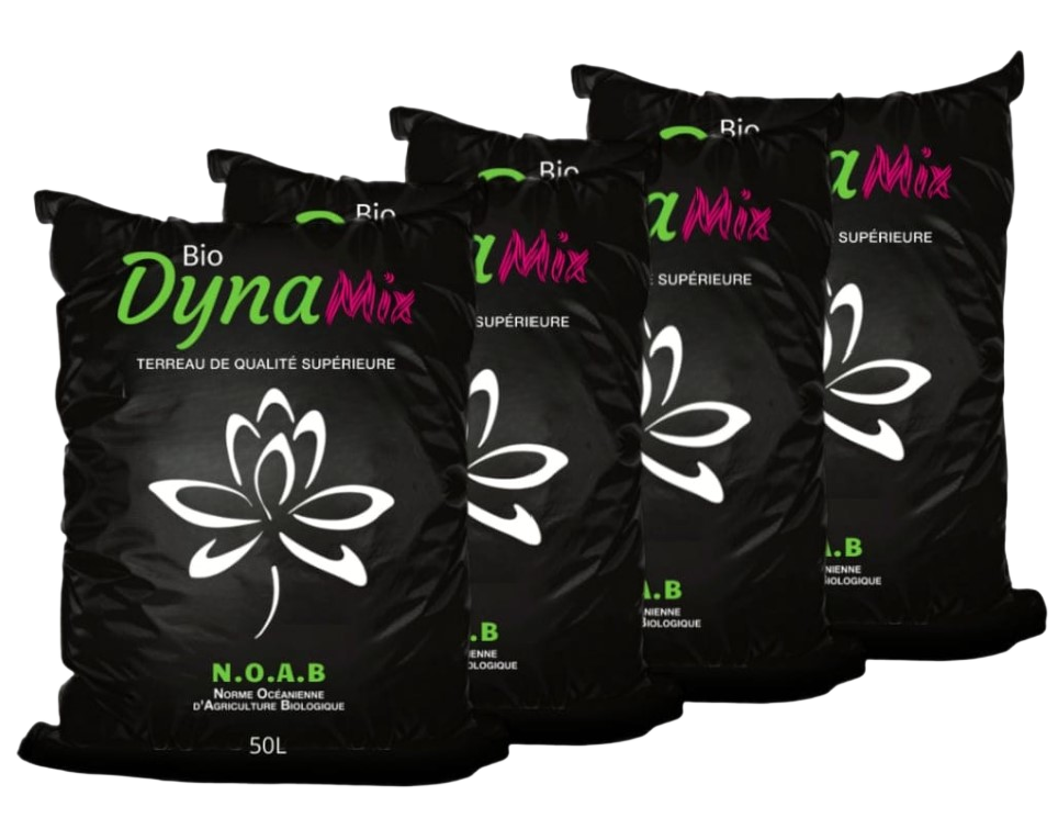 4 sacs DynaMix