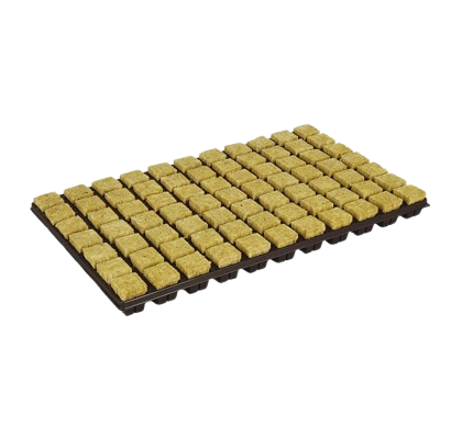 grodan-plaque-ldr-77-cubes-36x36x40-removebg-preview