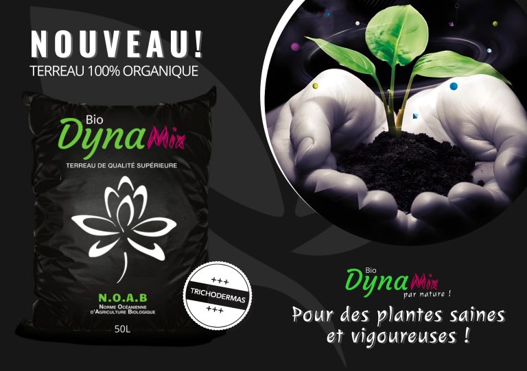 Flyer A5 DynaMix Recto