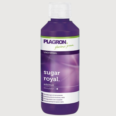 plagron-sugar-royal-100ml-removebg-preview